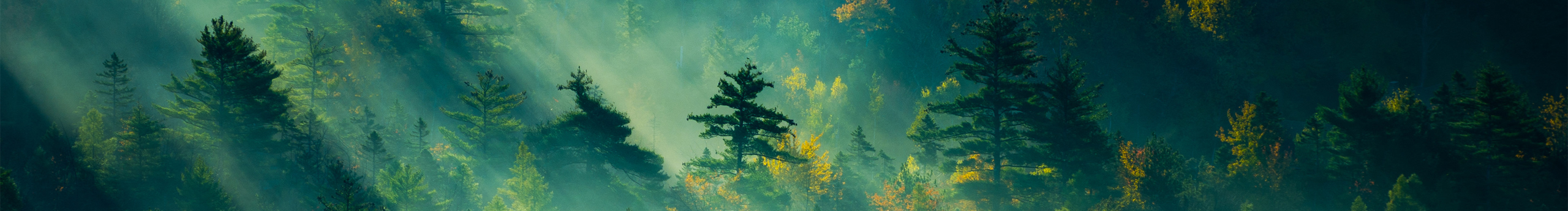 MaleahWing的个人主页（封面预览） - 主页封面设置 - 站酷设计师MaleahWing原创素材 - 站酷ZCOOL