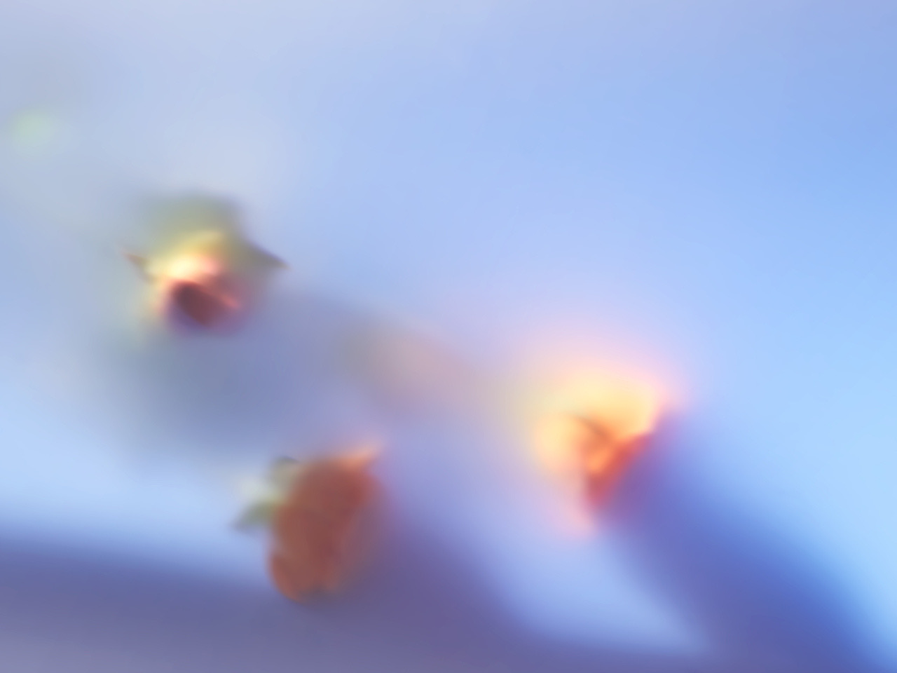 March_D的个人主页（封面预览） - 主页封面设置 - 站酷设计师March_D原创素材 - 站酷ZCOOL