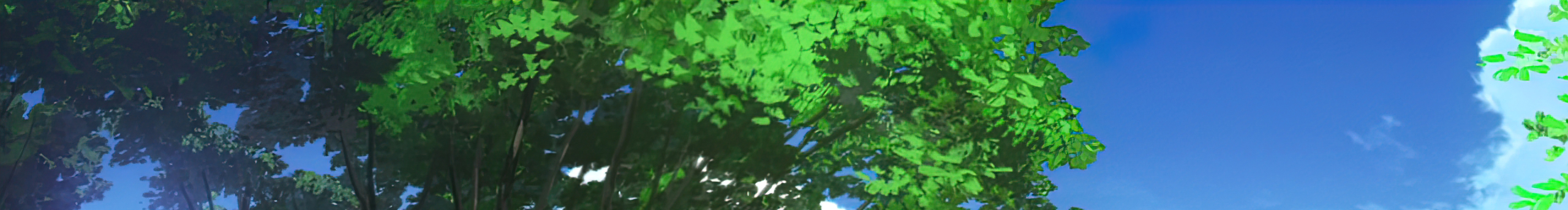 Z21927075的个人主页（封面预览） - 主页封面设置 - 站酷设计师Z21927075原创素材 - 站酷ZCOOL