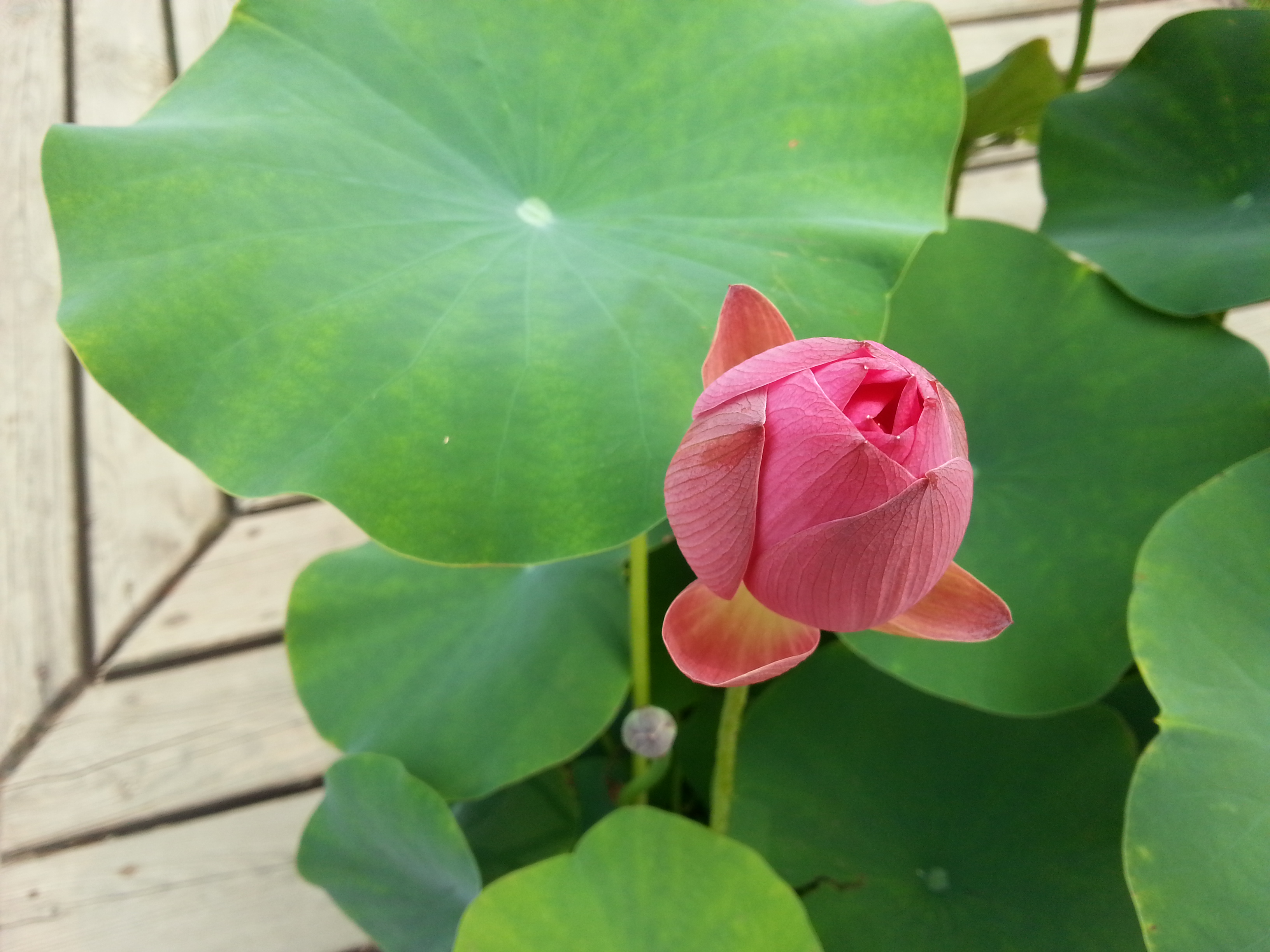 octopus35的個人主頁（封面預(yù)覽） - 主頁封面設(shè)置 - 站酷設(shè)計師octopus35原創(chuàng)素材 - 站酷ZCOOL