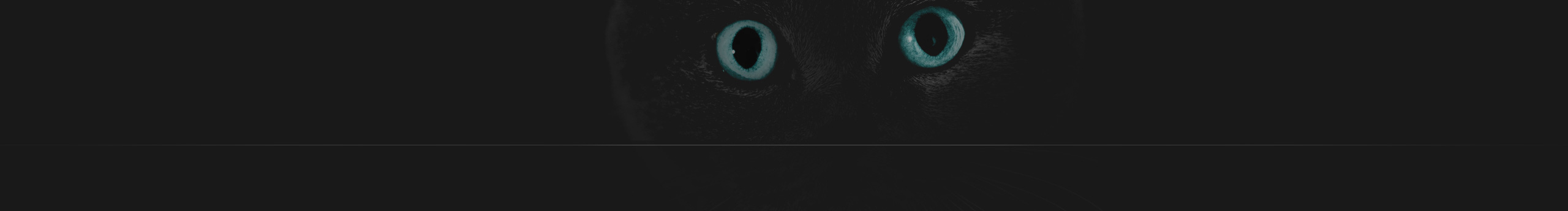 周杰倫_的個人主頁（封面預覽） - 主頁封面設(shè)置 - 站酷設(shè)計師周杰倫_原創(chuàng)素材 - 站酷ZCOOL