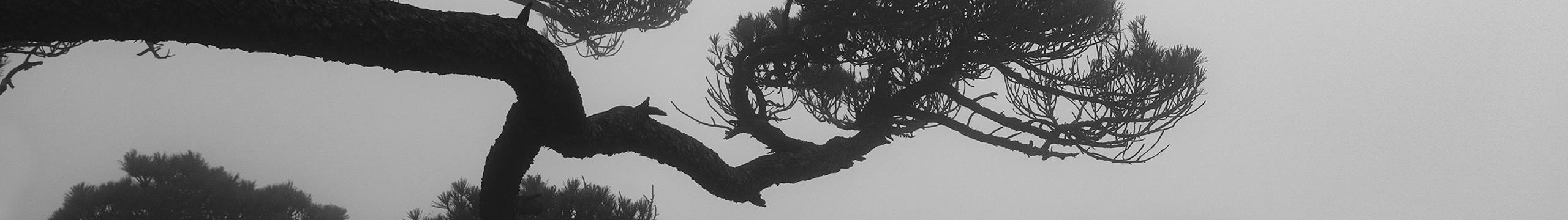 IZZARD盜的个人主页（封面预览） - 主页封面设置 - 站酷设计师IZZARD盜原创素材 - 站酷ZCOOL