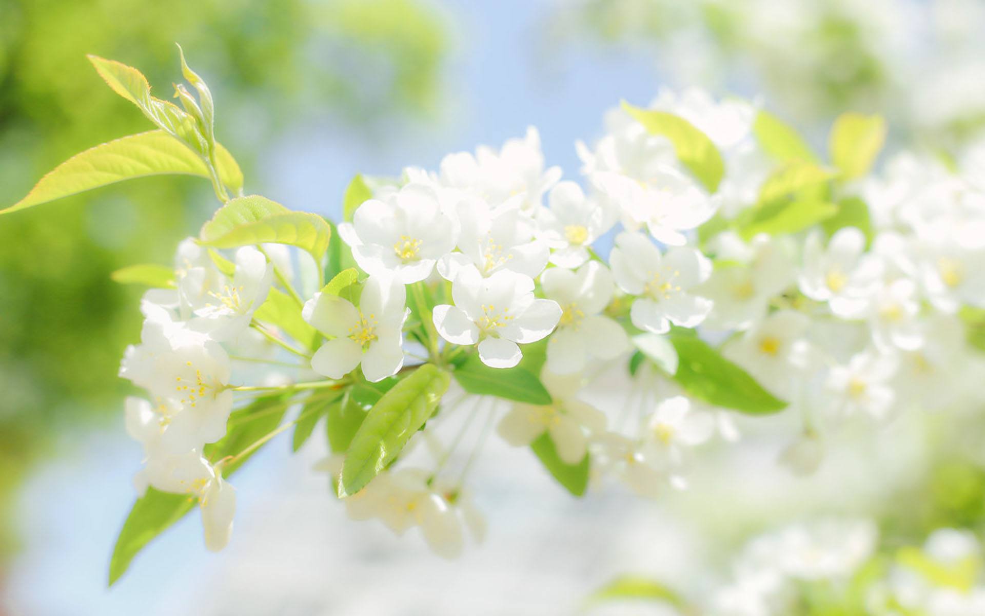 兩山青的個(gè)人主頁（封面預(yù)覽） - 主頁封面設(shè)置 - 站酷設(shè)計(jì)師兩山青原創(chuàng)素材 - 站酷ZCOOL