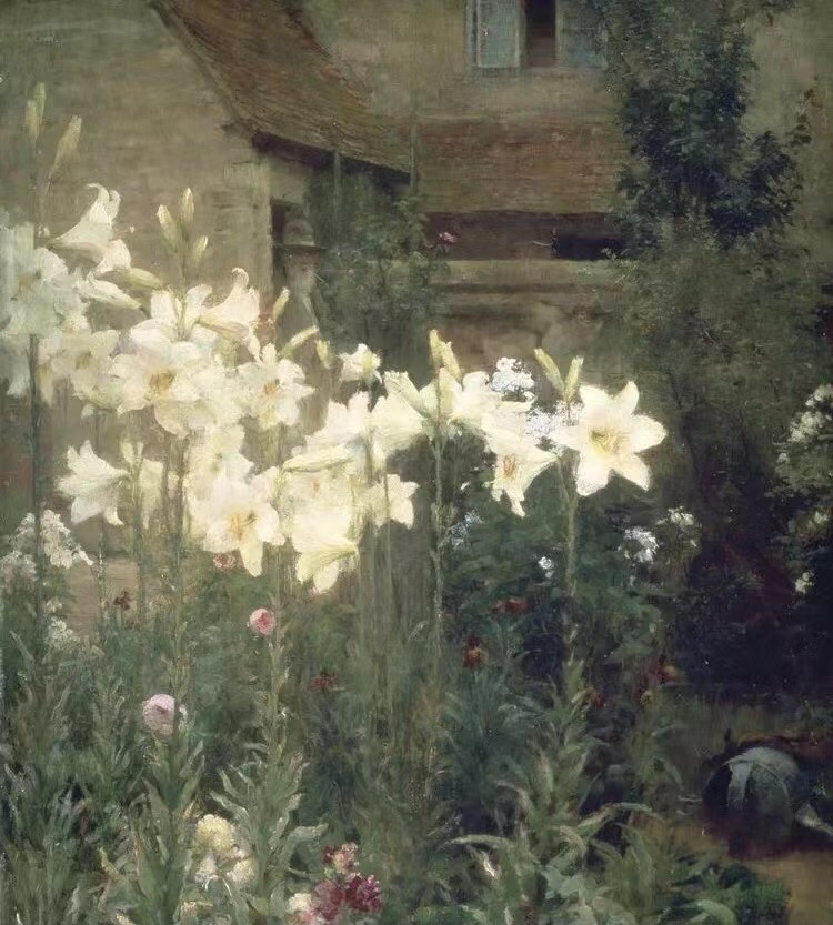 黑美男的个人主页（封面预览） - 主页封面设置 - 站酷设计师黑美男原创素材 - 站酷ZCOOL