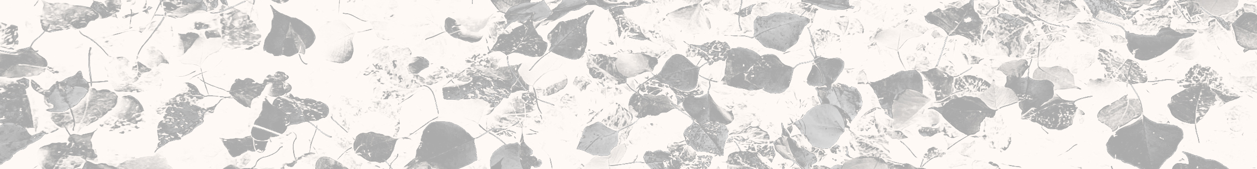 猴子稱霸王的個人主頁（封面預(yù)覽） - 主頁封面設(shè)置 - 站酷設(shè)計(jì)師猴子稱霸王原創(chuàng)素材 - 站酷ZCOOL