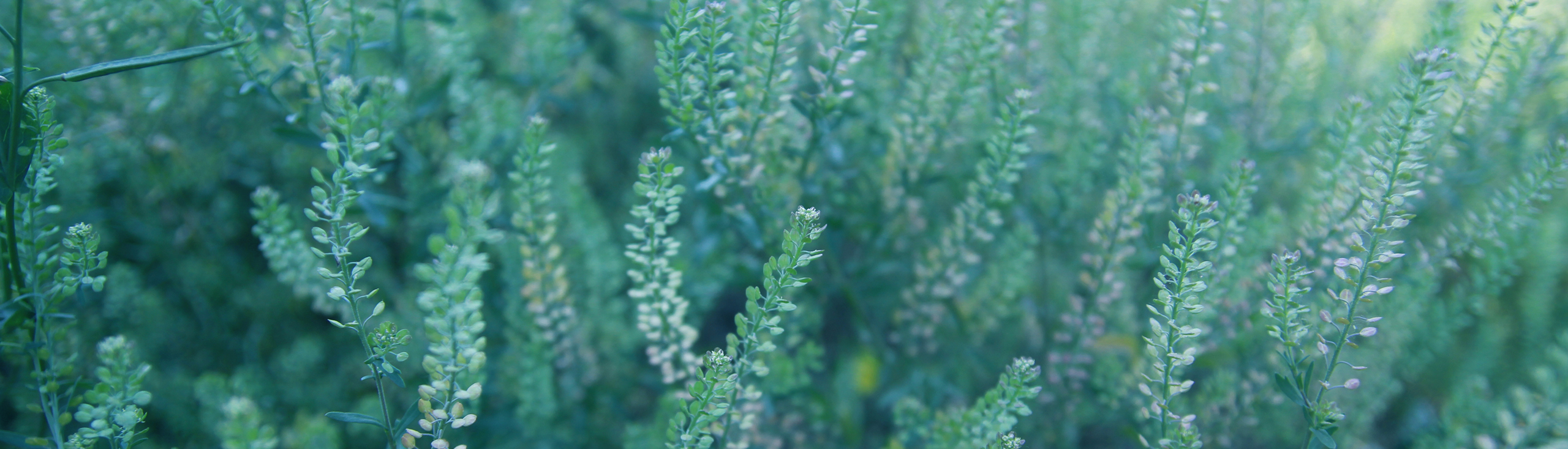 阿林杰作的个人主页（封面预览） - 主页封面设置 - 站酷设计师阿林杰作原创素材 - 站酷ZCOOL