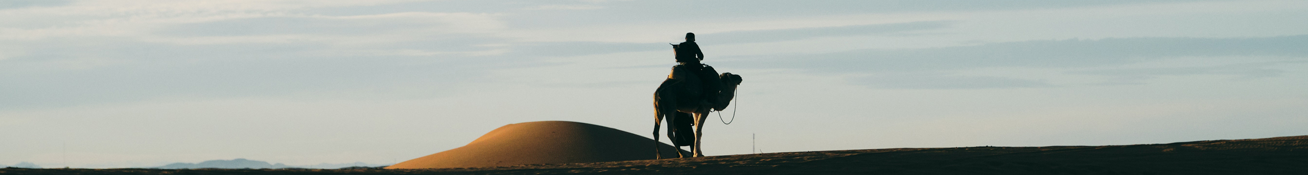 没事来杯美式的个人主页（封面预览） - 主页封面设置 - 站酷设计师没事来杯美式原创素材 - 站酷ZCOOL