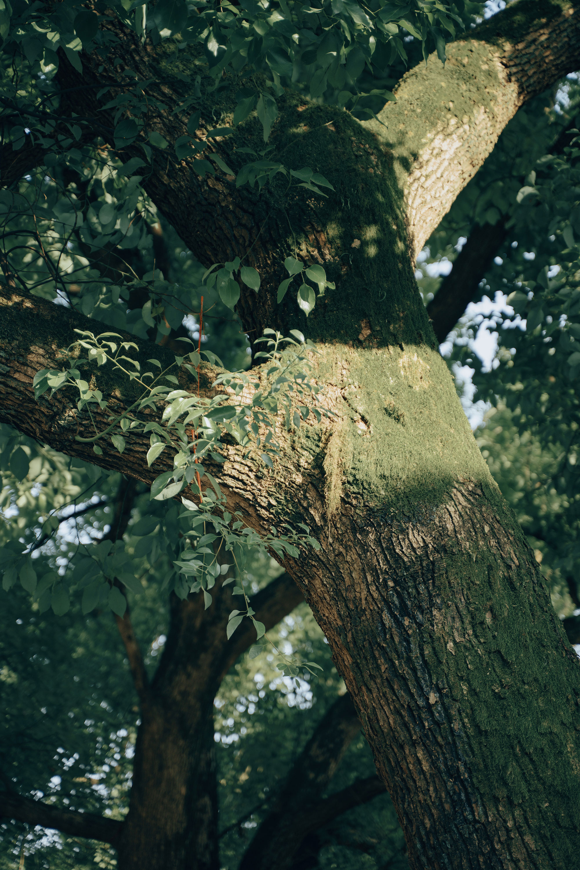 七叁零的个人主页（封面预览） - 主页封面设置 - 站酷设计师七叁零原创素材 - 站酷ZCOOL