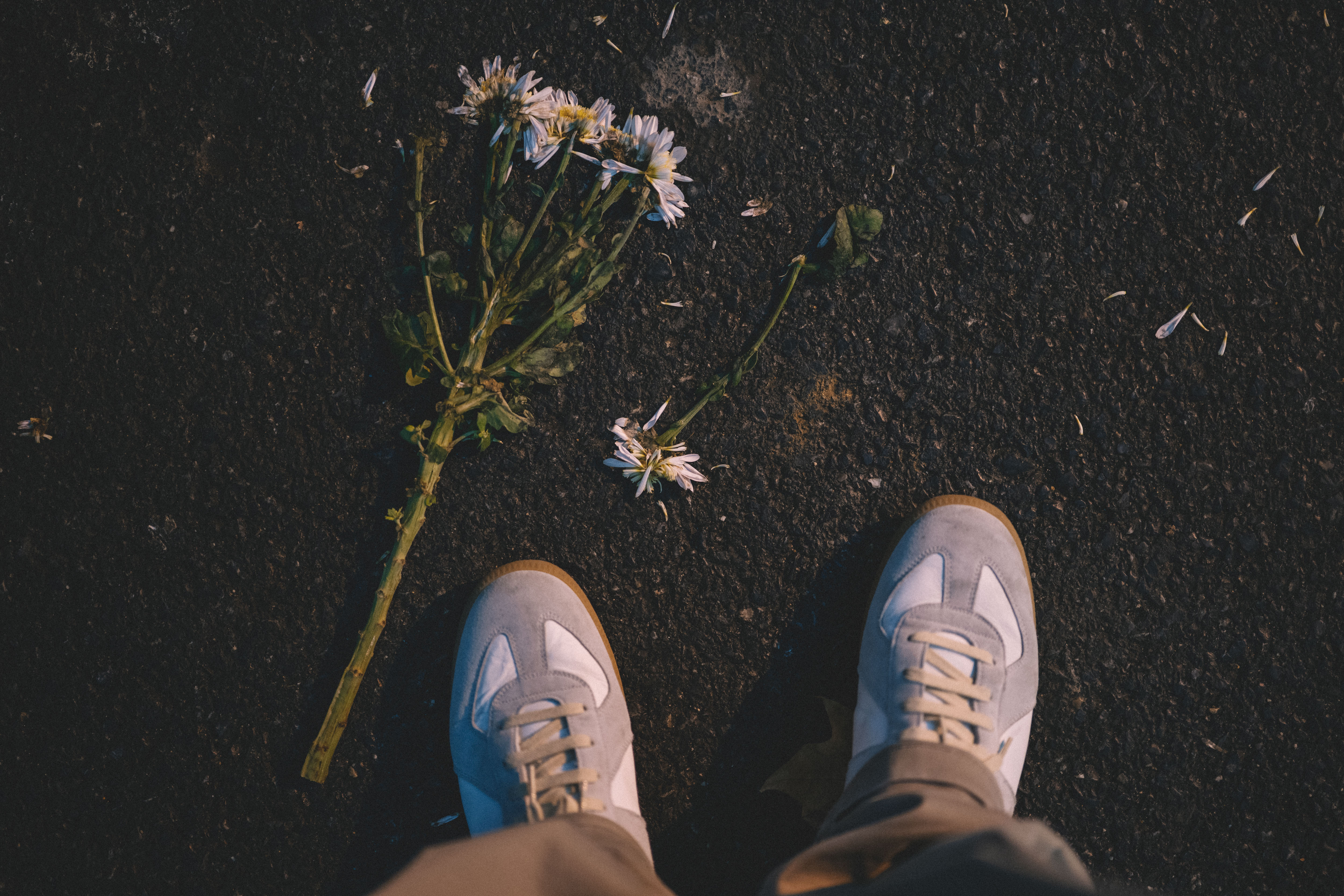 一粒很忙的李子的个人主页（封面预览） - 主页封面设置 - 站酷设计师一粒很忙的李子原创素材 - 站酷ZCOOL