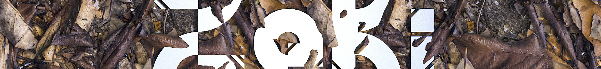 Zeki_Chi的個(gè)人主頁(yè)（封面預(yù)覽） - 主頁(yè)封面設(shè)置 - 站酷設(shè)計(jì)師Zeki_Chi原創(chuàng)素材 - 站酷ZCOOL