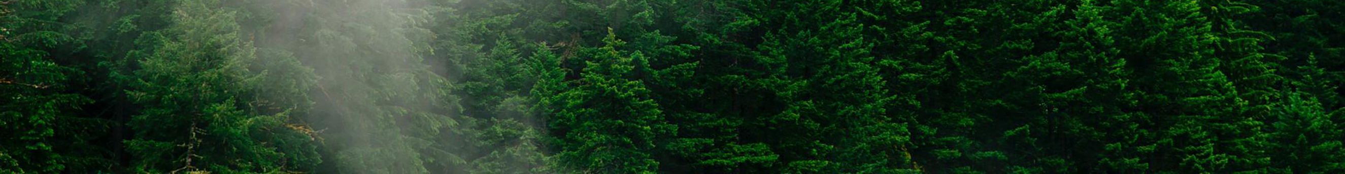 Z06661096的個(gè)人主頁（封面預(yù)覽） - 主頁封面設(shè)置 - 站酷設(shè)計(jì)師Z06661096原創(chuàng)素材 - 站酷ZCOOL