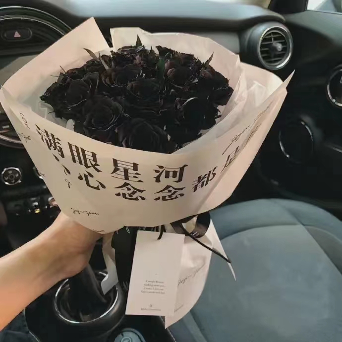 畫畫的八嘎的個人主頁（封面預(yù)覽） - 主頁封面設(shè)置 - 站酷設(shè)計師畫畫的八嘎原創(chuàng)素材 - 站酷ZCOOL