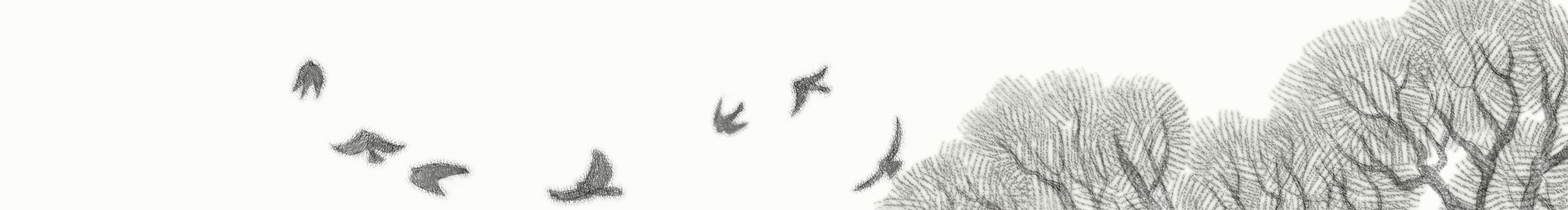 sansakila的個(gè)人主頁(yè)（封面預(yù)覽） - 主頁(yè)封面設(shè)置 - 站酷設(shè)計(jì)師sansakila原創(chuàng)素材 - 站酷ZCOOL