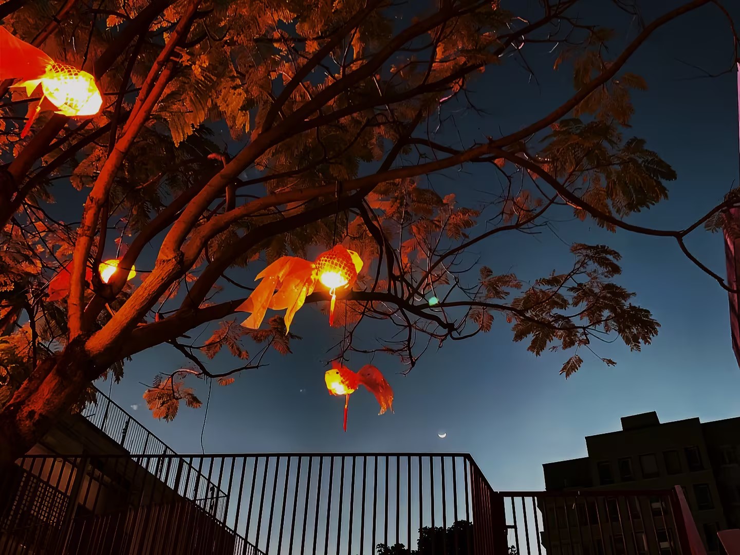 坨tuo的个人主页（封面预览） - 主页封面设置 - 站酷设计师坨tuo原创素材 - 站酷ZCOOL