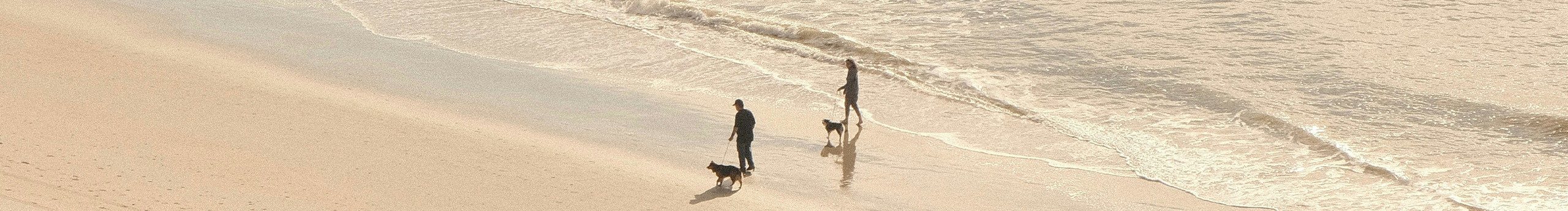 灿烂的狗子的个人主页（封面预览） - 主页封面设置 - 站酷设计师灿烂的狗子原创素材 - 站酷ZCOOL