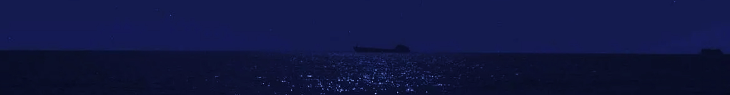 LYY1113的个人主页（封面预览） - 主页封面设置 - 站酷设计师LYY1113原创素材 - 站酷ZCOOL