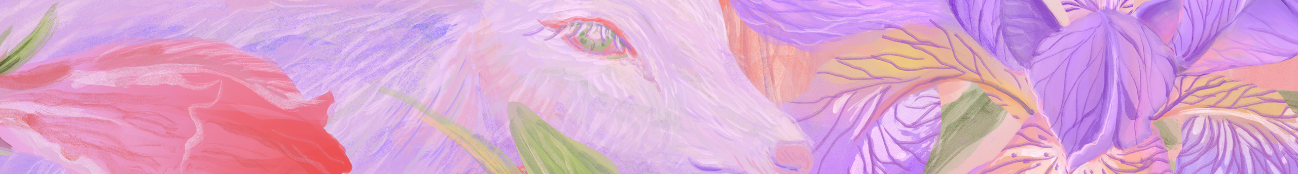 桃兮Pchy的個(gè)人主頁（封面預(yù)覽） - 主頁封面設(shè)置 - 站酷設(shè)計(jì)師桃兮Pchy原創(chuàng)素材 - 站酷ZCOOL