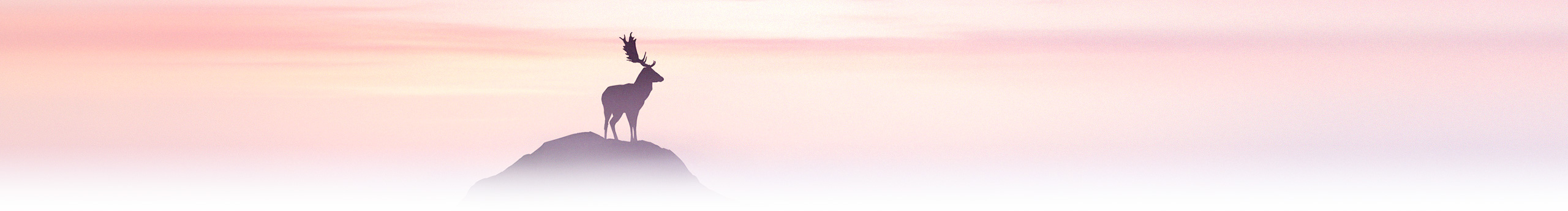 进击de阿文的个人主页（封面预览） - 主页封面设置 - 站酷设计师进击de阿文原创素材 - 站酷ZCOOL