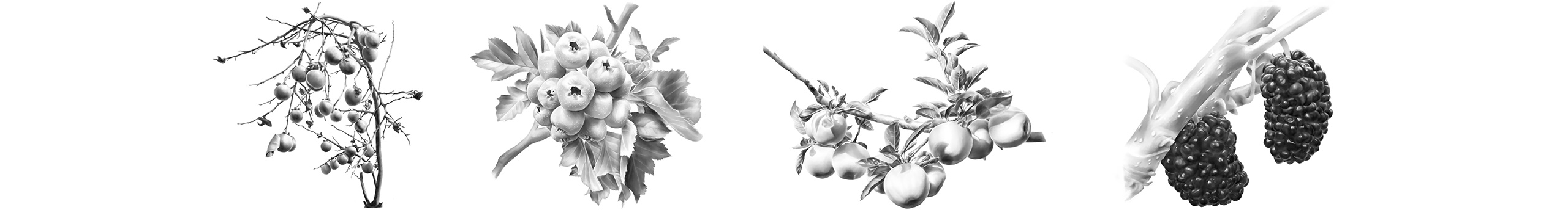 emilly的個(gè)人主頁（封面預(yù)覽） - 主頁封面設(shè)置 - 站酷設(shè)計(jì)師emilly原創(chuàng)素材 - 站酷ZCOOL