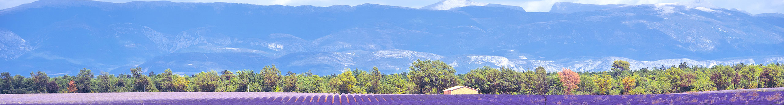 涼塵L的個(gè)人主頁(yè)（封面預(yù)覽） - 主頁(yè)封面設(shè)置 - 站酷設(shè)計(jì)師涼塵L原創(chuàng)素材 - 站酷ZCOOL