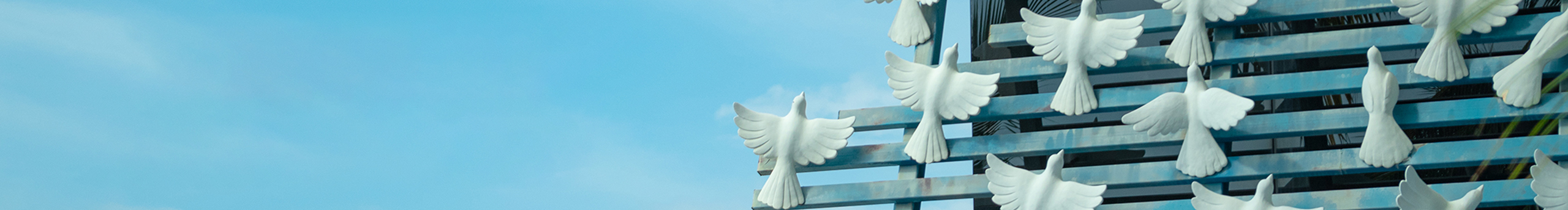 追寻遗失的生活的个人主页（封面预览） - 主页封面设置 - 站酷设计师追寻遗失的生活原创素材 - 站酷ZCOOL