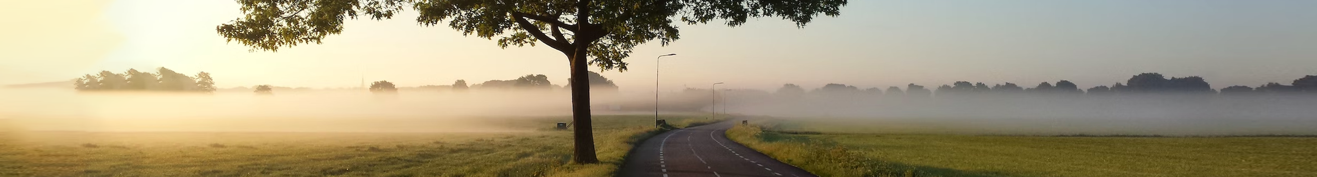 xiozhang的个人主页（封面预览） - 主页封面设置 - 站酷设计师xiozhang原创素材 - 站酷ZCOOL