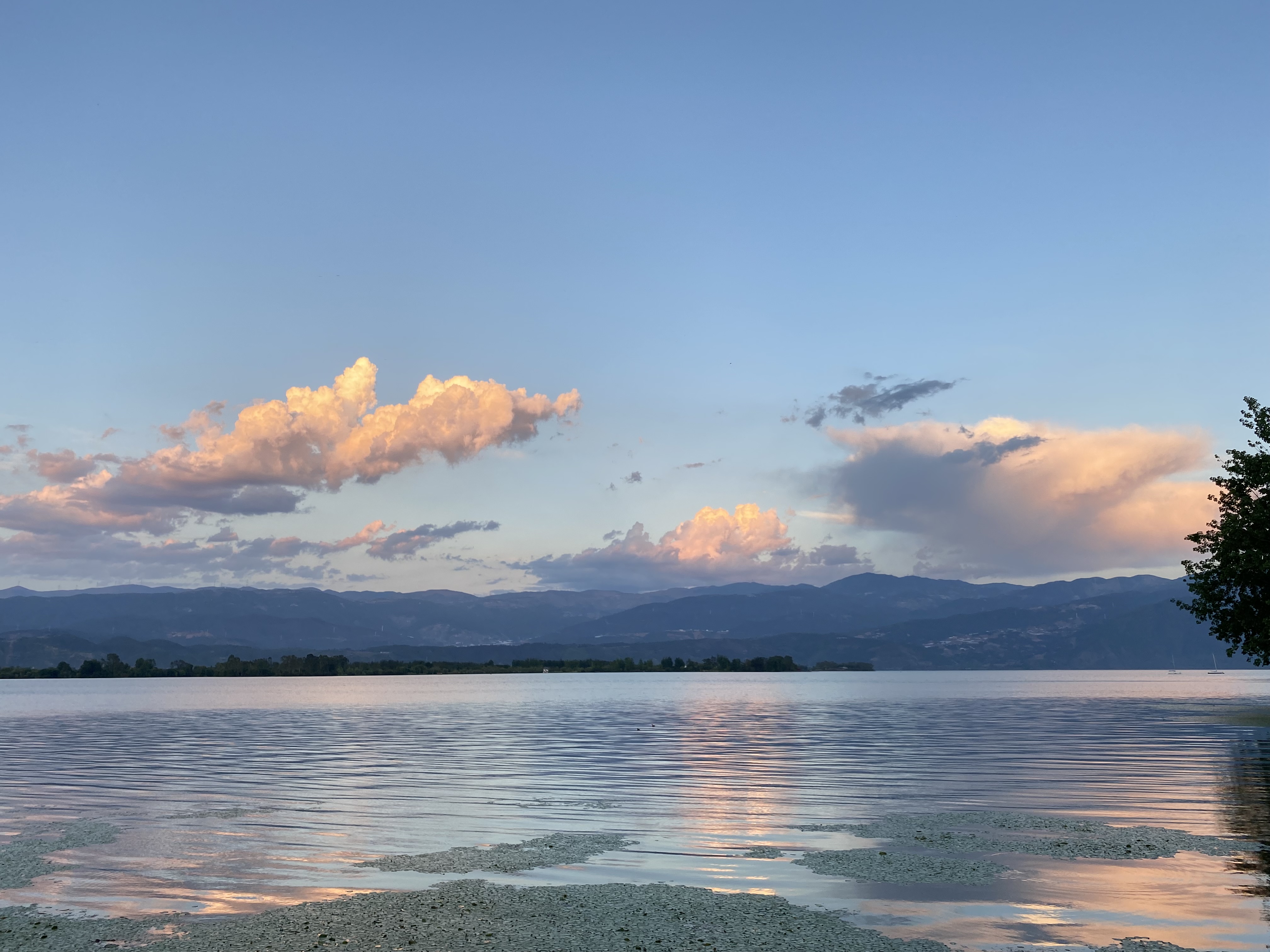 雪菲菲呀的个人主页（封面预览） - 主页封面设置 - 站酷设计师雪菲菲呀原创素材 - 站酷ZCOOL