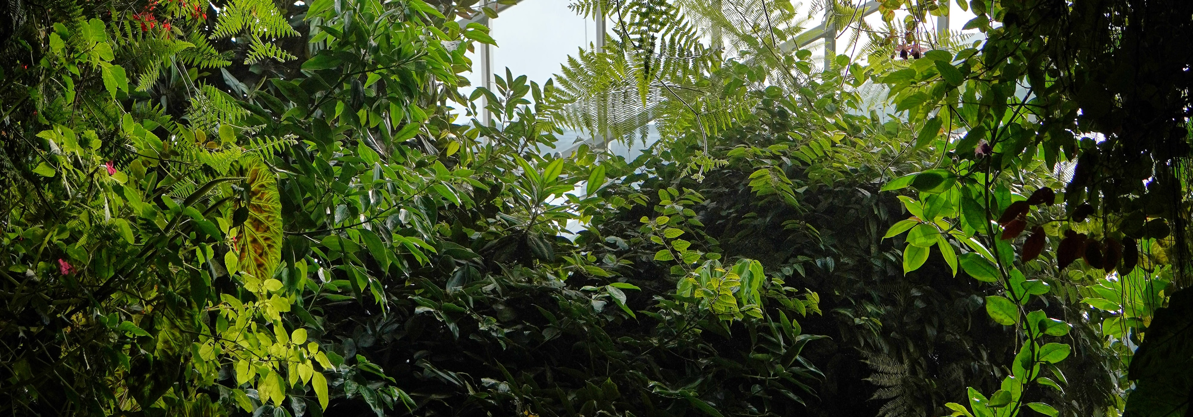 TimeDrift的個人主頁（封面預(yù)覽） - 主頁封面設(shè)置 - 站酷設(shè)計師TimeDrift原創(chuàng)素材 - 站酷ZCOOL