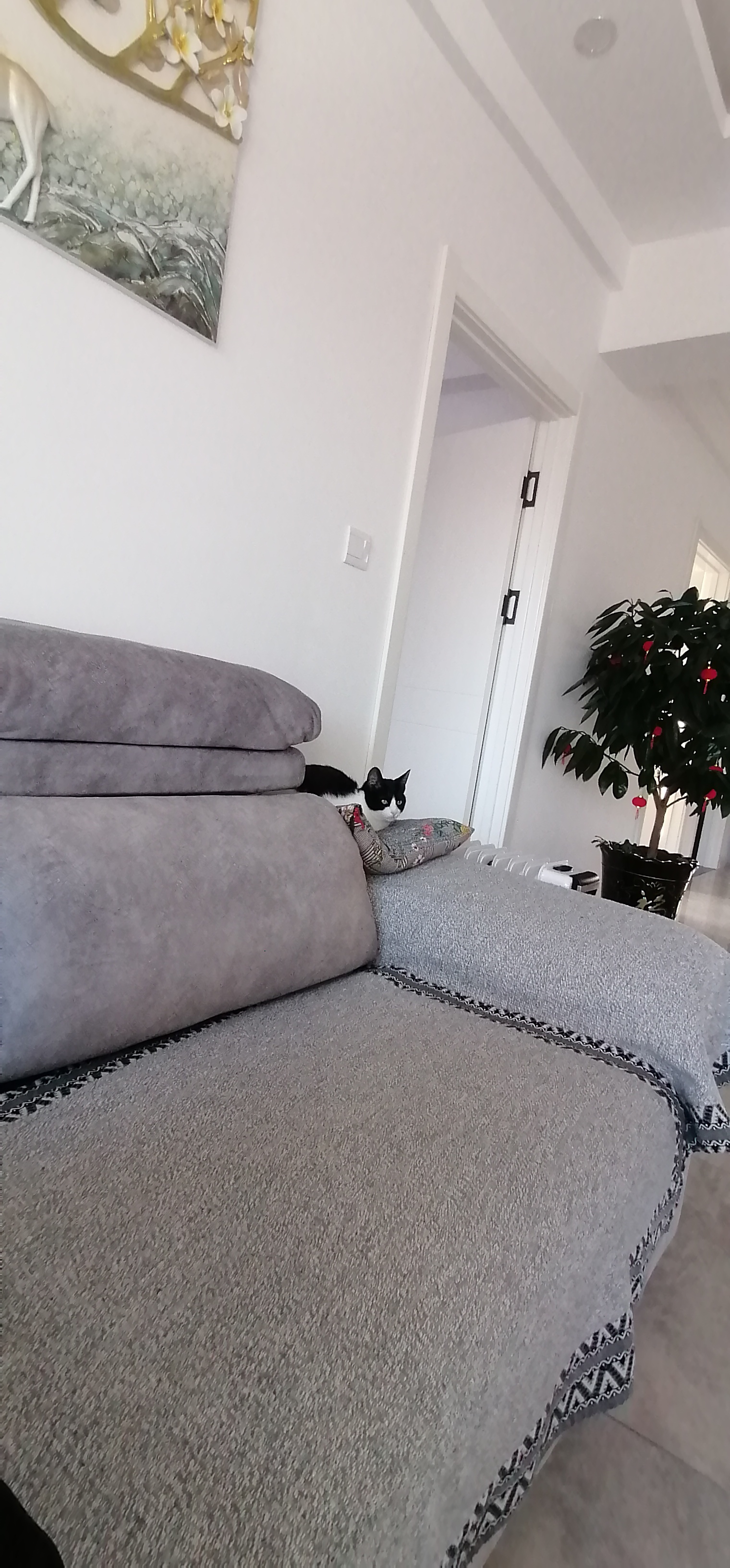 世界第一笨蛋的個(gè)人主頁(yè)（封面預(yù)覽） - 主頁(yè)封面設(shè)置 - 站酷設(shè)計(jì)師世界第一笨蛋原創(chuàng)素材 - 站酷ZCOOL