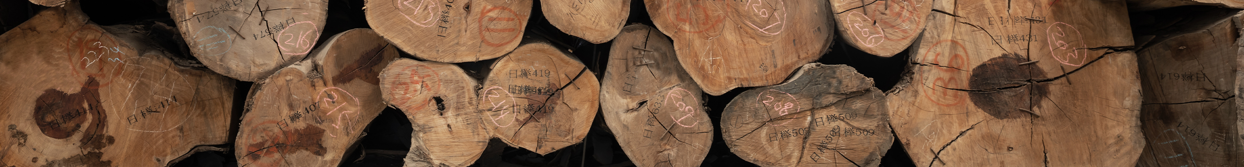 大角木创的个人主页（封面预览） - 主页封面设置 - 站酷设计师大角木创原创素材 - 站酷ZCOOL