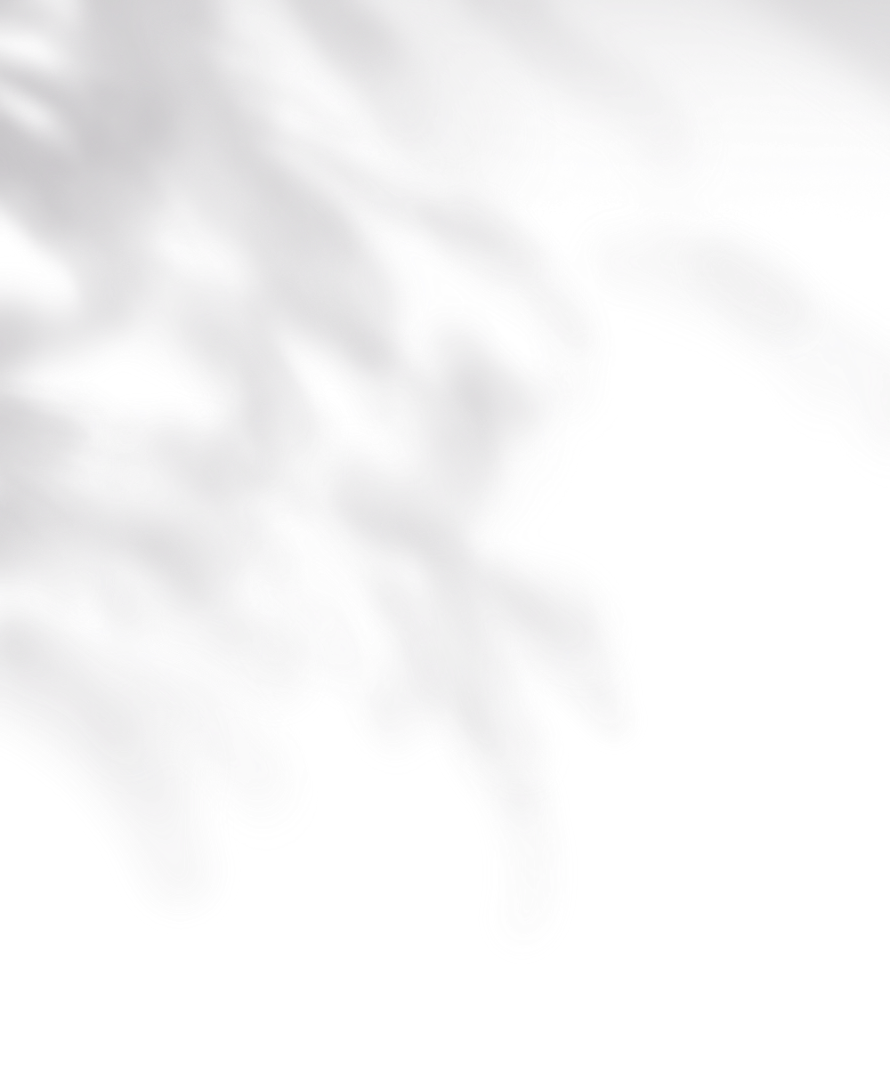 拾月的鱼的个人主页（封面预览） - 主页封面设置 - 站酷设计师拾月的鱼原创素材 - 站酷ZCOOL