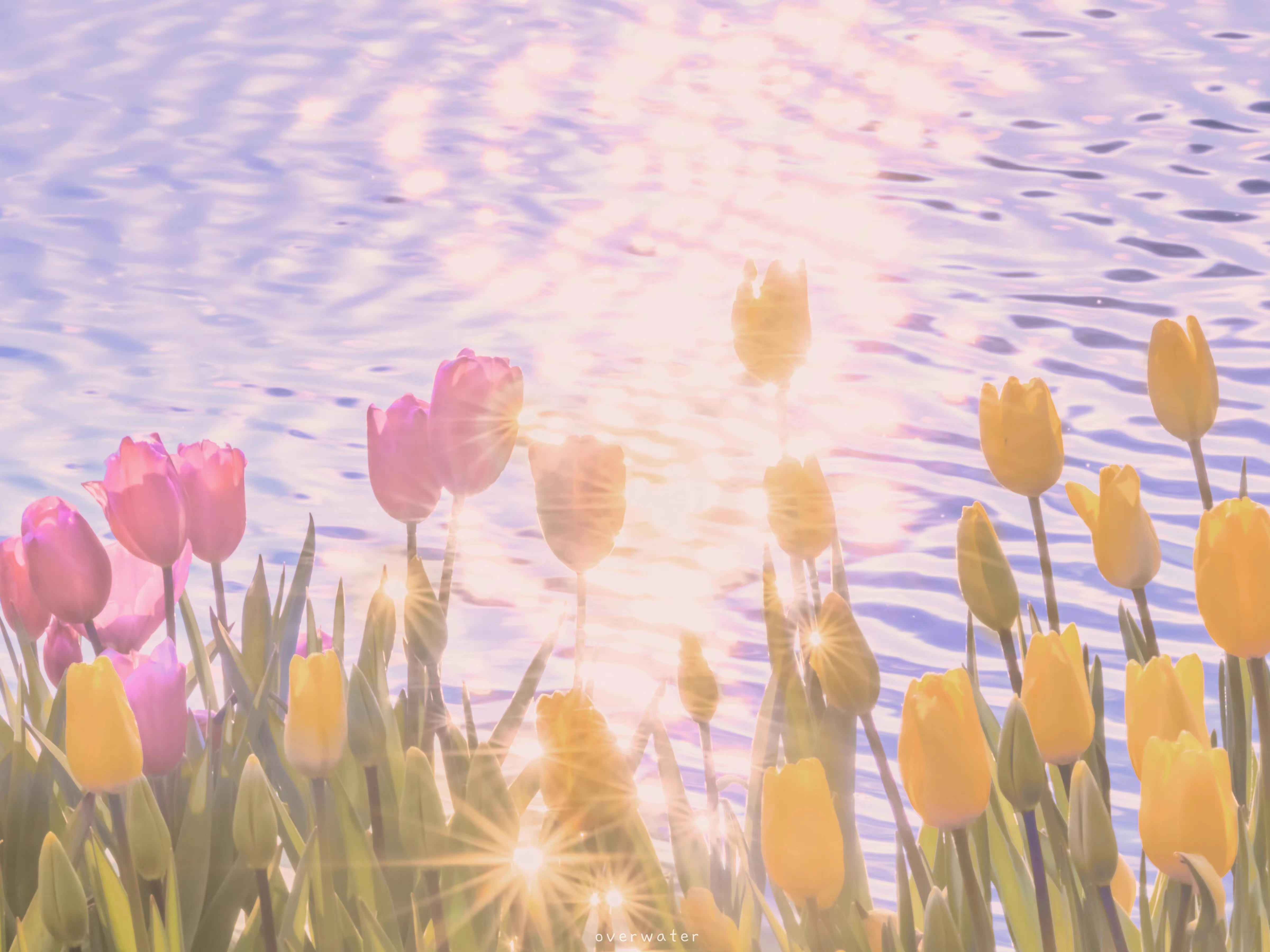 Jelly_tina的个人主页（封面预览） - 主页封面设置 - 站酷设计师Jelly_tina原创素材 - 站酷ZCOOL