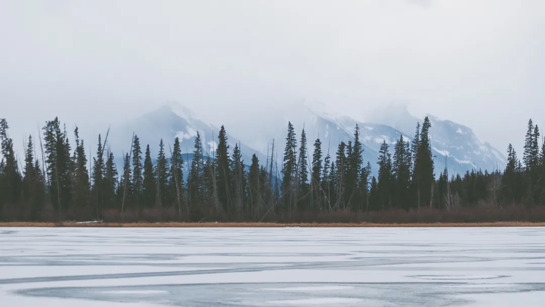 變味冰美式的個人主頁（封面預覽） - 主頁封面設置 - 站酷設計師變味冰美式原創(chuàng)素材 - 站酷ZCOOL