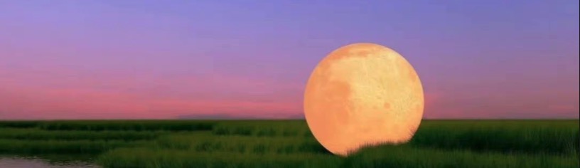 养乐多7的个人主页（封面预览） - 主页封面设置 - 站酷设计师养乐多7原创素材 - 站酷ZCOOL