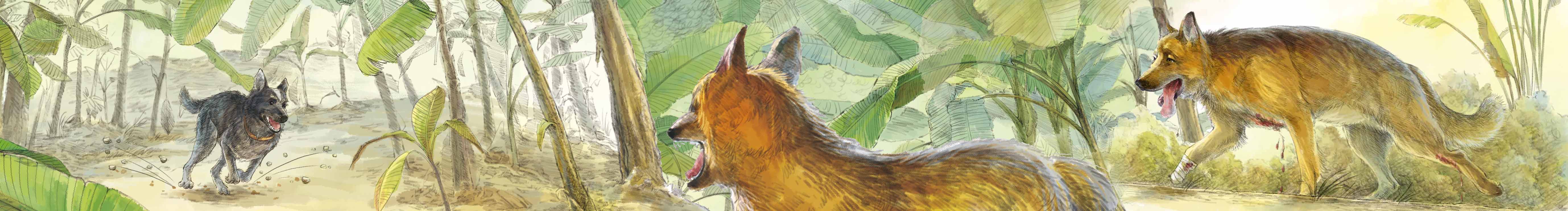 漫漫画的个人主页（封面预览） - 主页封面设置 - 站酷设计师漫漫画原创素材 - 站酷ZCOOL