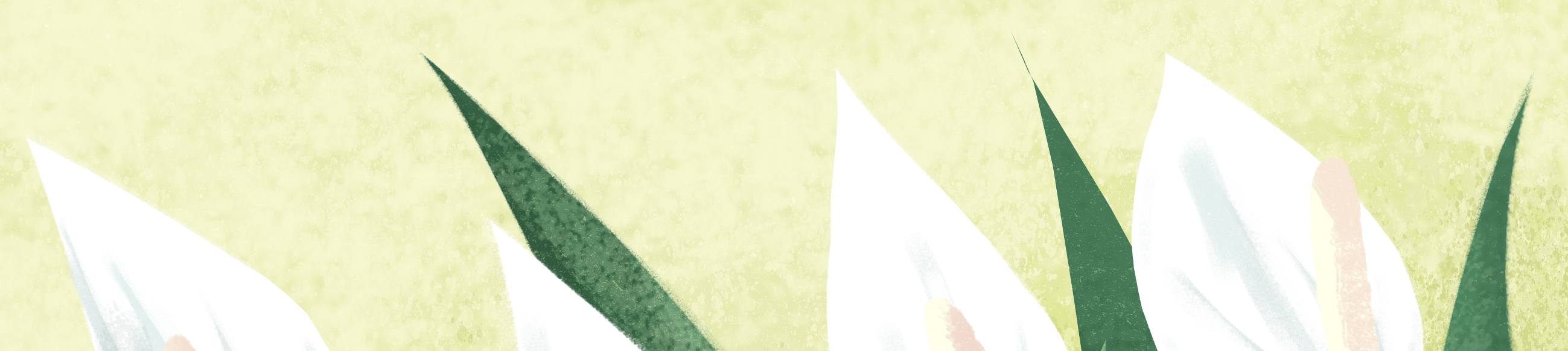 畫(huà)師Mary的個(gè)人主頁(yè)（封面預(yù)覽） - 主頁(yè)封面設(shè)置 - 站酷設(shè)計(jì)師畫(huà)師Mary原創(chuàng)素材 - 站酷ZCOOL