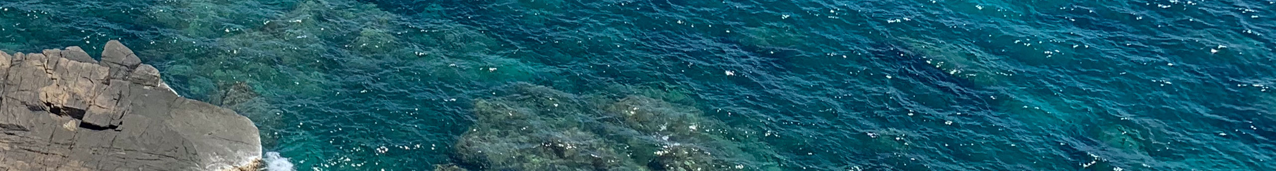 琳琳_lynn的个人主页（封面预览） - 主页封面设置 - 站酷设计师琳琳_lynn原创素材 - 站酷ZCOOL