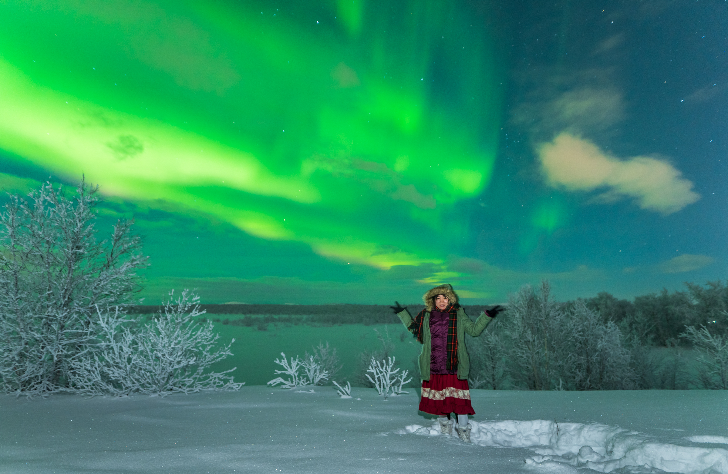 DahliaStudio的个人主页（封面预览） - 主页封面设置 - 站酷设计师DahliaStudio原创素材 - 站酷ZCOOL