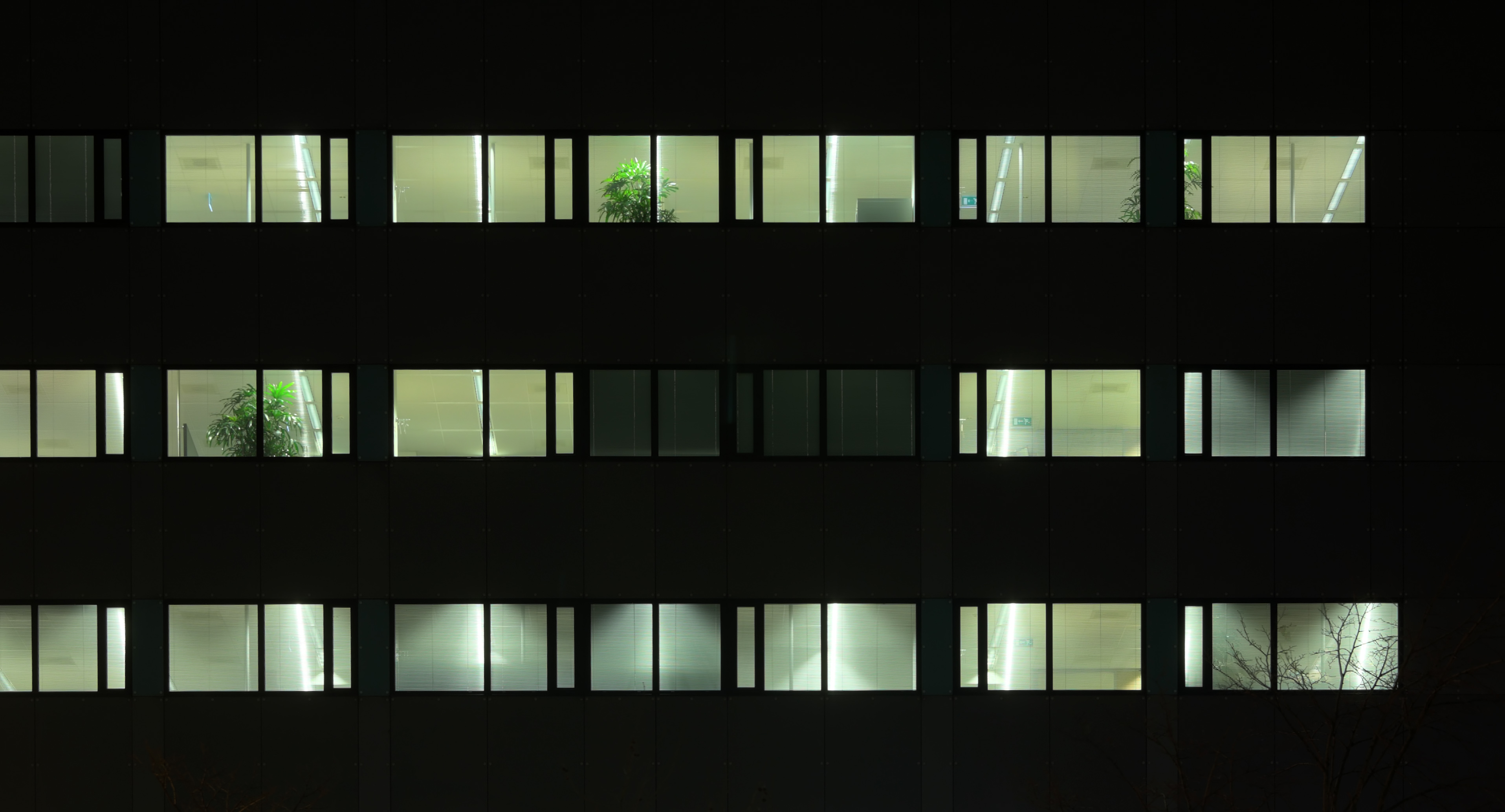 蜜蜂狗的个人主页（封面预览） - 主页封面设置 - 站酷设计师蜜蜂狗原创素材 - 站酷ZCOOL