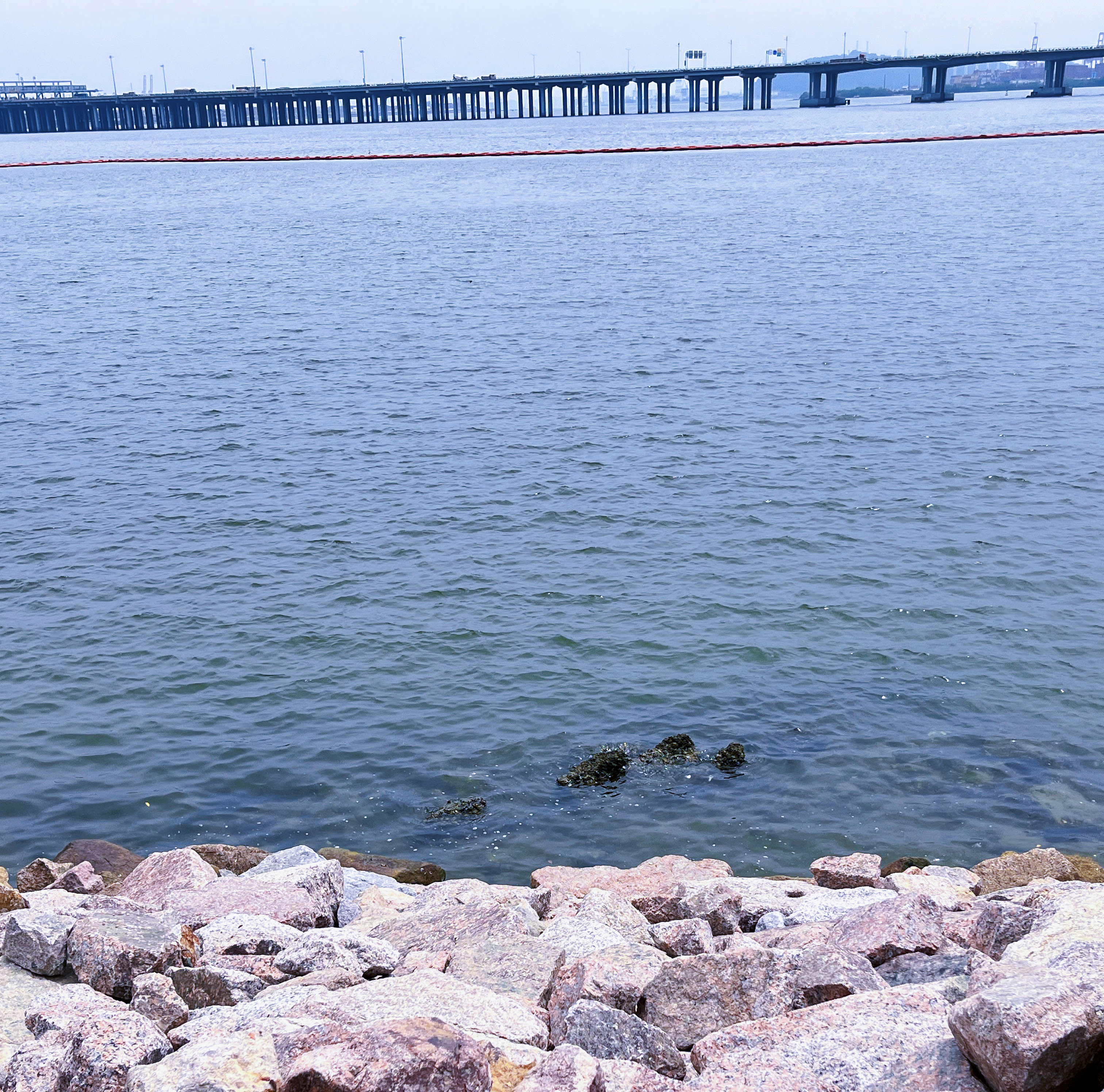 餅干塊兒的個(gè)人主頁(yè)（封面預(yù)覽） - 主頁(yè)封面設(shè)置 - 站酷設(shè)計(jì)師餅干塊兒原創(chuàng)素材 - 站酷ZCOOL