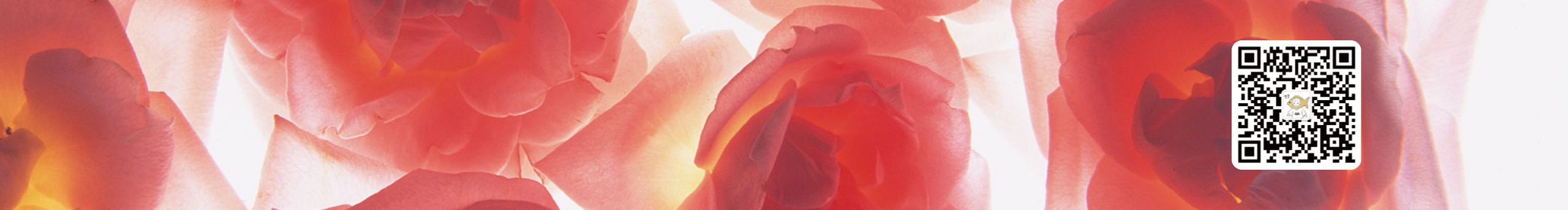 吃饱睡不饱的个人主页（封面预览） - 主页封面设置 - 站酷设计师吃饱睡不饱原创素材 - 站酷ZCOOL