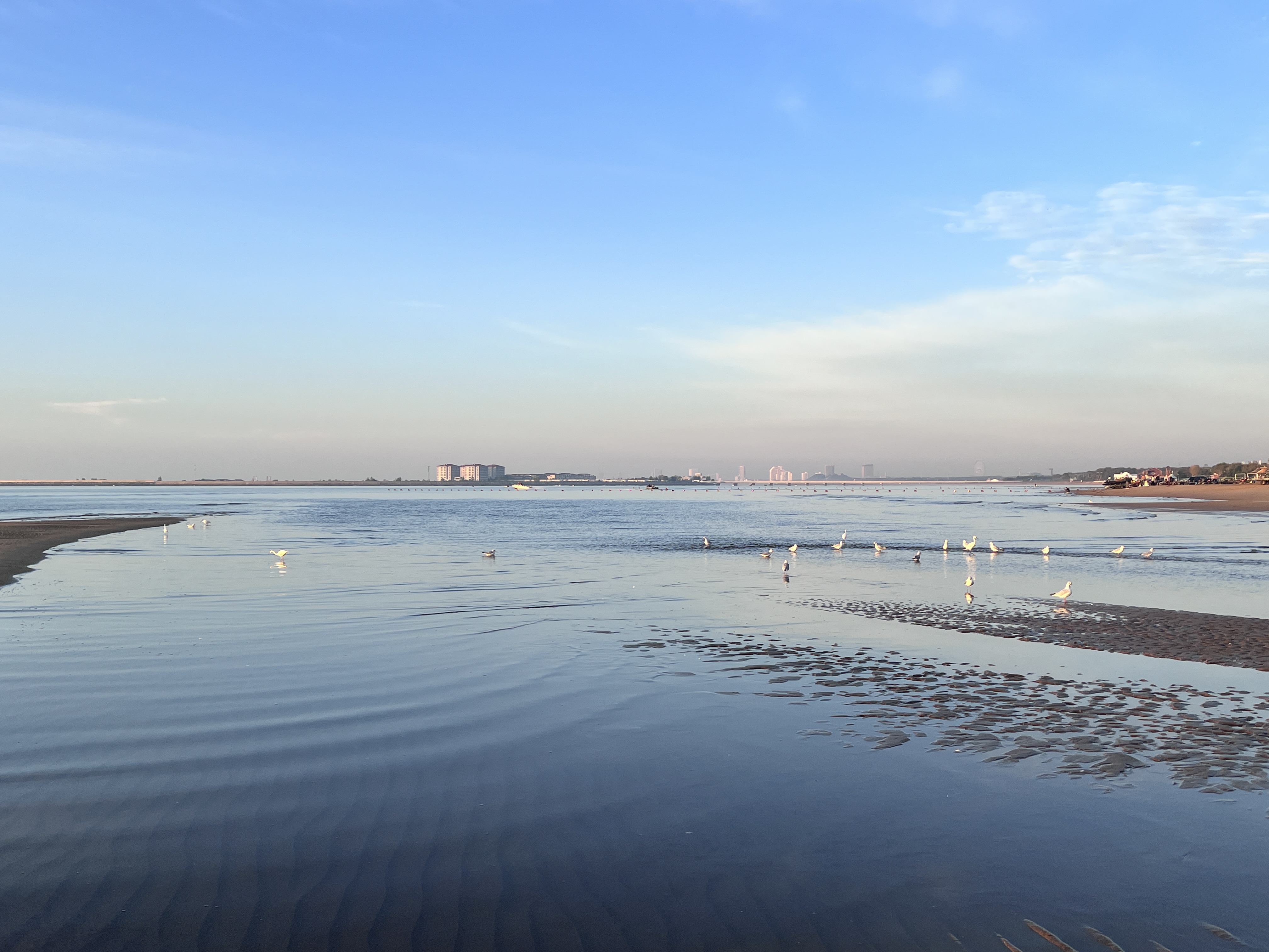 奶蓋來的_的個(gè)人主頁（封面預(yù)覽） - 主頁封面設(shè)置 - 站酷設(shè)計(jì)師奶蓋來的_原創(chuàng)素材 - 站酷ZCOOL