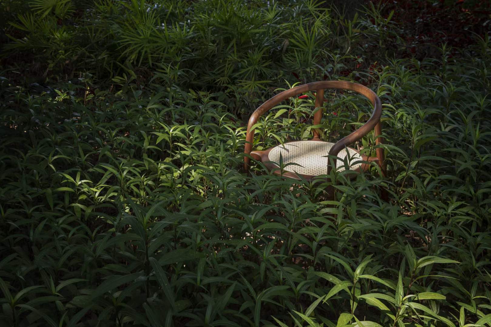 龍龍LIFEI的個(gè)人主頁(yè)（封面預(yù)覽） - 主頁(yè)封面設(shè)置 - 站酷設(shè)計(jì)師龍龍LIFEI原創(chuàng)素材 - 站酷ZCOOL