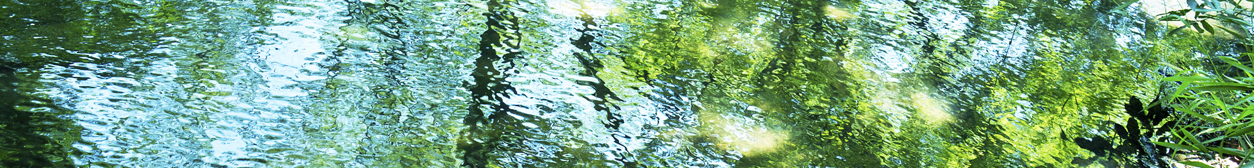 嗨_阿蔡的個(gè)人主頁（封面預(yù)覽） - 主頁封面設(shè)置 - 站酷設(shè)計(jì)師嗨_阿蔡原創(chuàng)素材 - 站酷ZCOOL