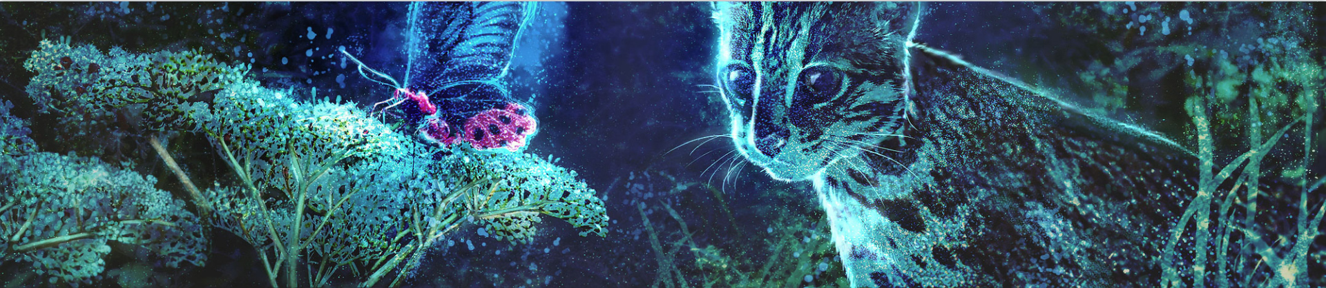 余渡i的個人主頁（封面預覽） - 主頁封面設置 - 站酷設計師余渡i原創(chuàng)素材 - 站酷ZCOOL