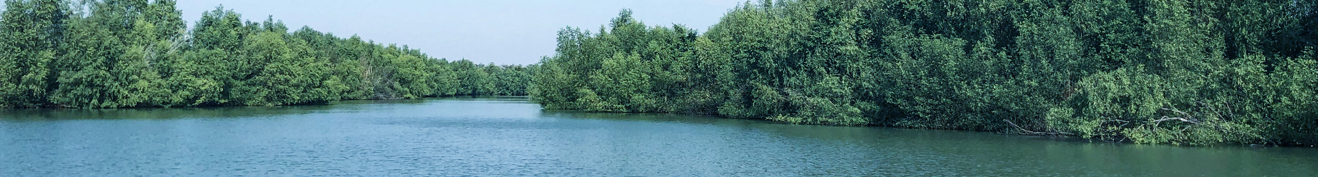 順期自然的個(gè)人主頁（封面預(yù)覽） - 主頁封面設(shè)置 - 站酷設(shè)計(jì)師順期自然原創(chuàng)素材 - 站酷ZCOOL