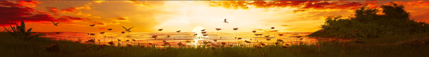 噢是ZOYOO的個人主頁（封面預覽） - 主頁封面設置 - 站酷設計師噢是ZOYOO原創(chuàng)素材 - 站酷ZCOOL