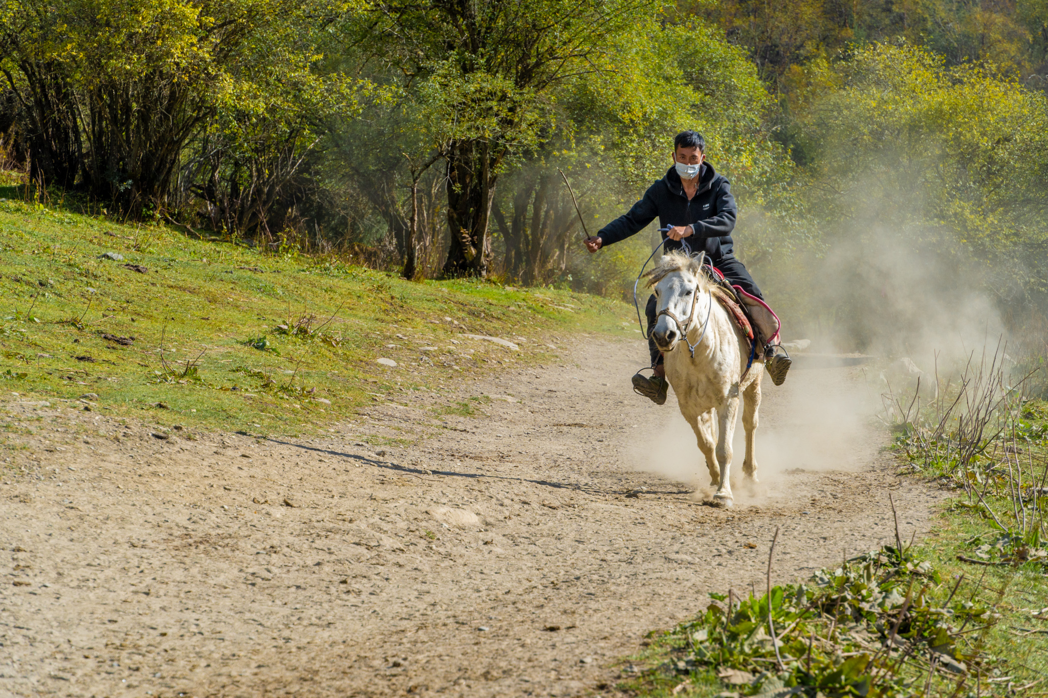 MikaShane的个人主页（封面预览） - 主页封面设置 - 站酷设计师MikaShane原创素材 - 站酷ZCOOL