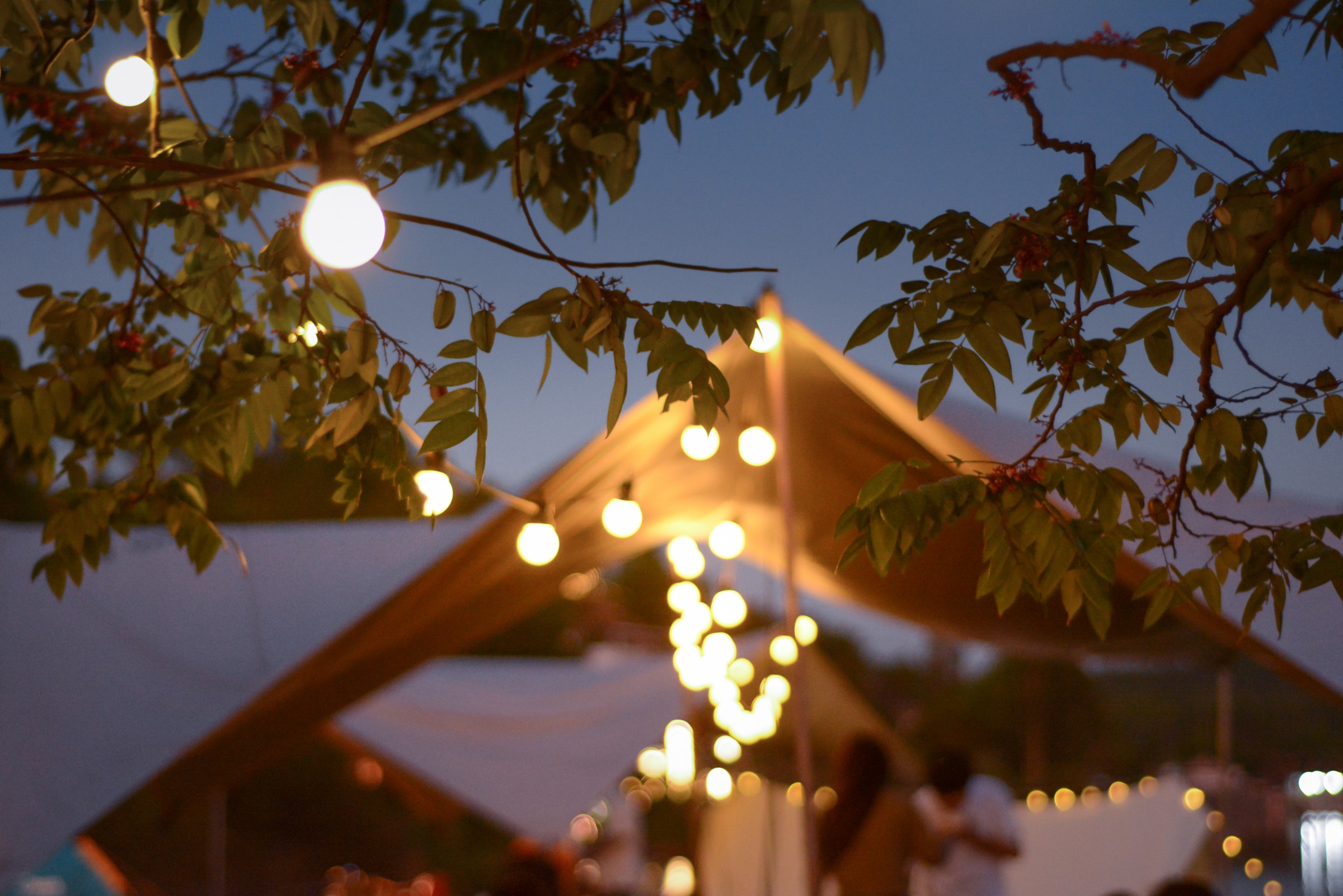 光塵_的個(gè)人主頁（封面預(yù)覽） - 主頁封面設(shè)置 - 站酷設(shè)計(jì)師光塵_原創(chuàng)素材 - 站酷ZCOOL