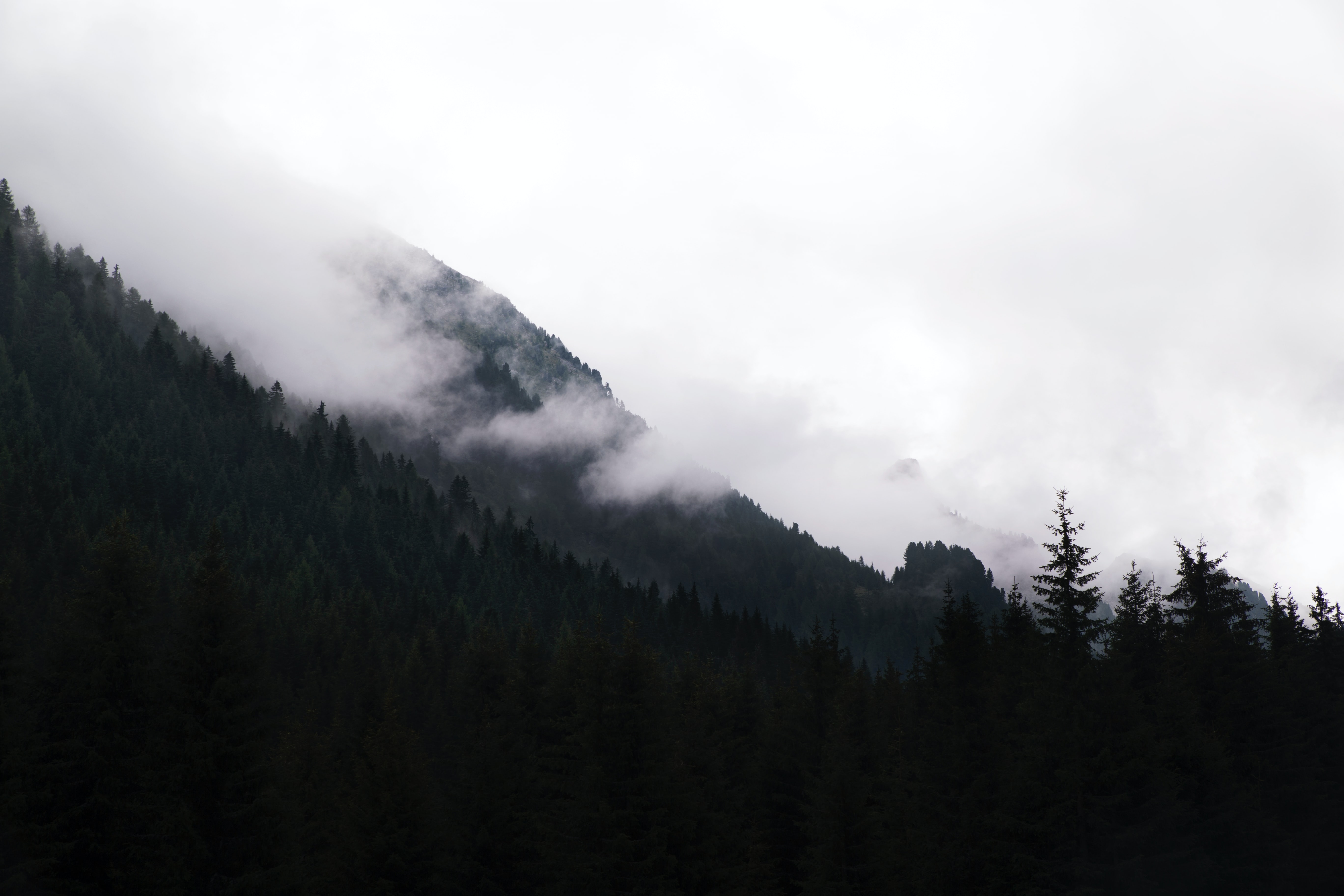 KinnCW的個人主頁（封面預覽） - 主頁封面設置 - 站酷設計師KinnCW原創(chuàng)素材 - 站酷ZCOOL